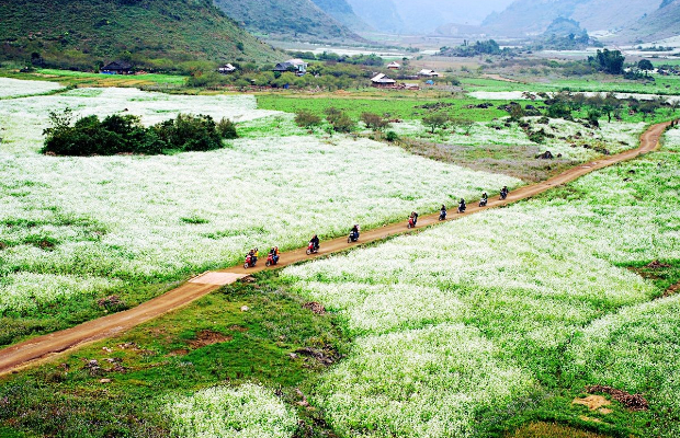 Du lịch Điện Biên mùa hoa