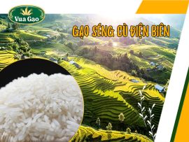 Gạo séng cù